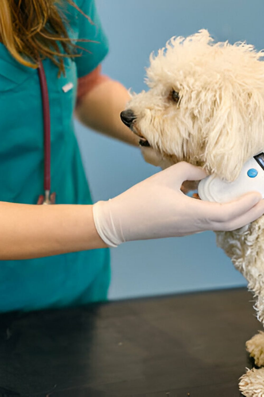 microchip